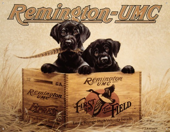 Fond dEcran - Animal - Chien & Ses doubles