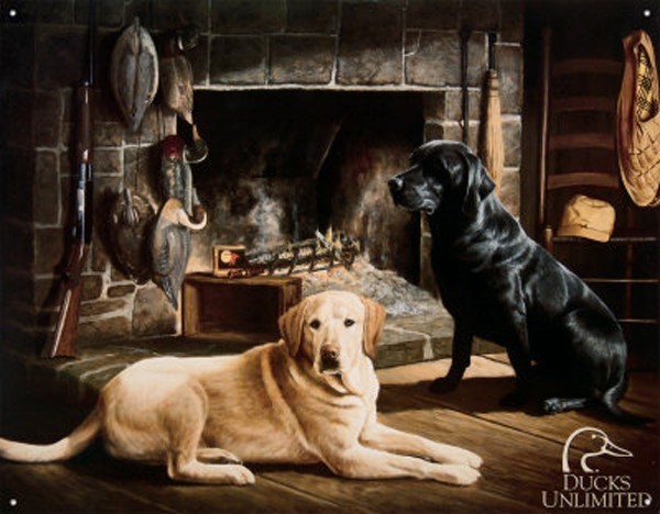 Fond dEcran - Animal - Chien & Ses doubles