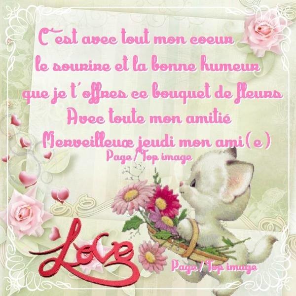 Fond dEcran - Animal - Chat Seul